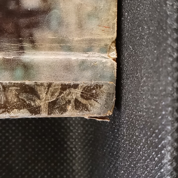 Vintage 1959 Walt Disney's "Tonka" Little Golden Book - Picture 4 of 16